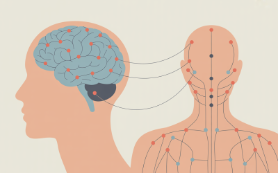 Les principales idées reçues sur l’acupuncture